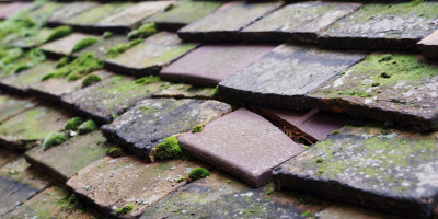 Botley roof repair costs